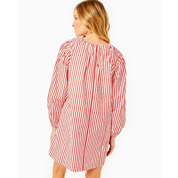 Cotton Poplin Port Dress | Addison Bay - Picture 4 of 5